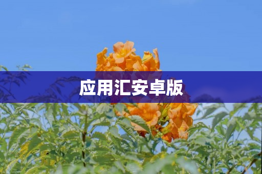 应用汇安卓版