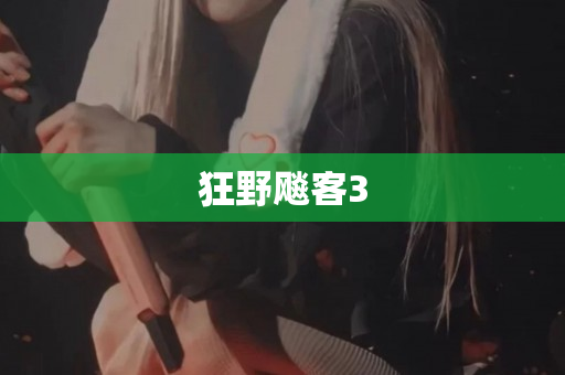狂野飚客3