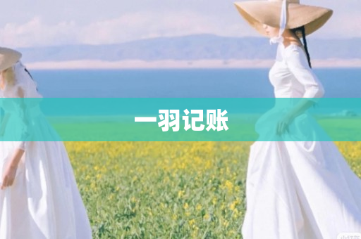 一羽记账