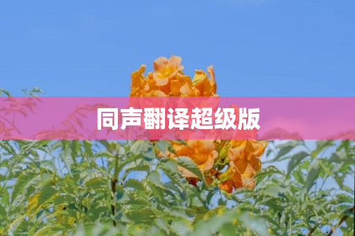 同声翻译超级版