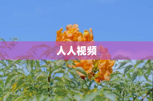 人人视频