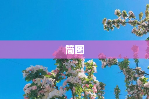 简图
