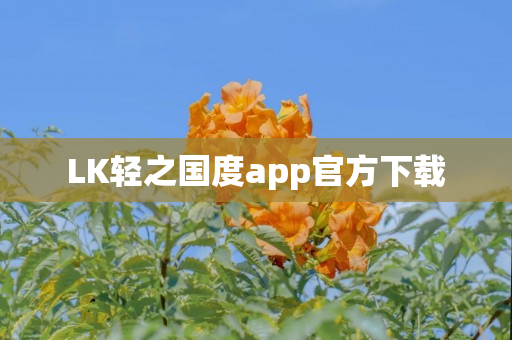 LK轻之国度app官方下载