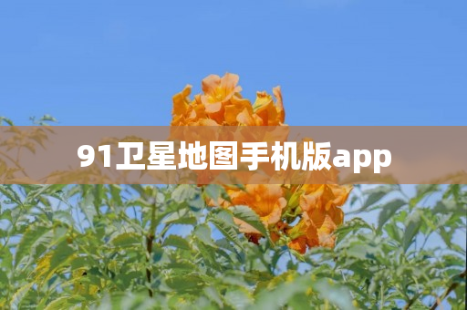91卫星地图手机版app