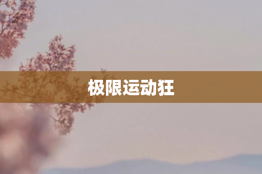 极限运动狂
