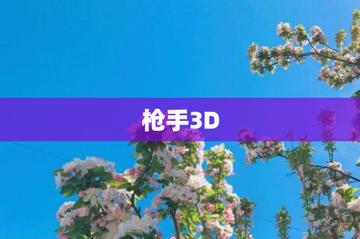 枪手3D