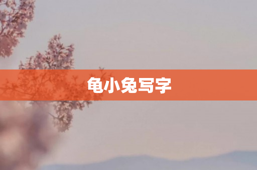 龟小兔写字