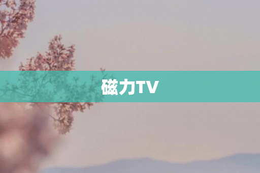 磁力TV