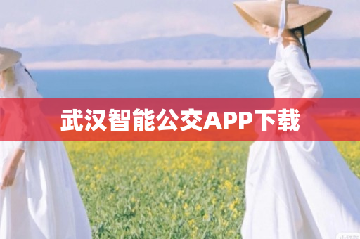 武汉智能公交APP下载