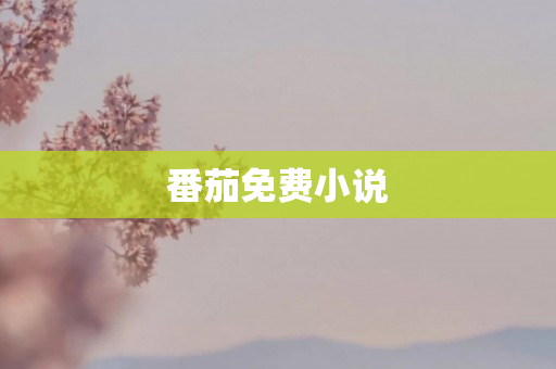 番茄免费小说