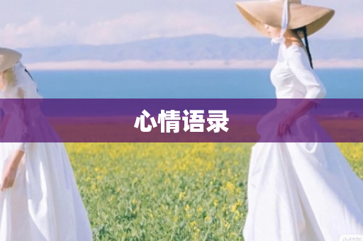 心情语录