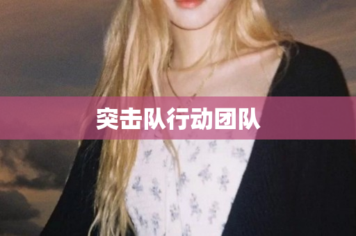 突击队行动团队