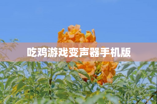 吃鸡游戏变声器手机版