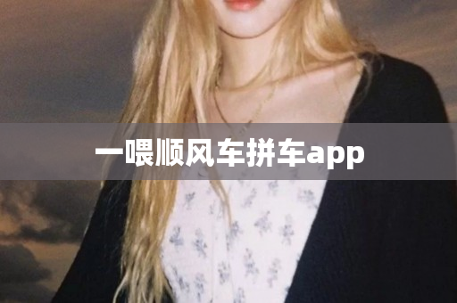 一喂顺风车拼车app