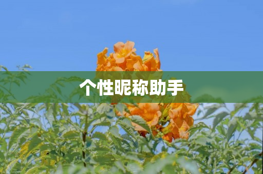 个性昵称助手