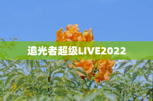 追光者超级LIVE2022