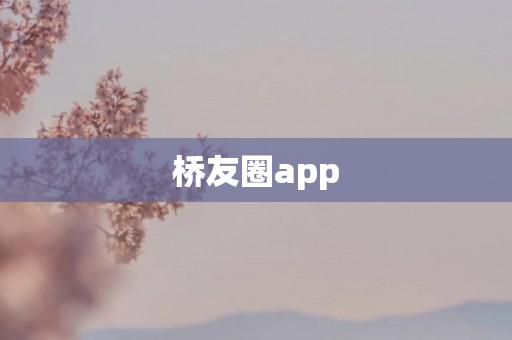 桥友圈app