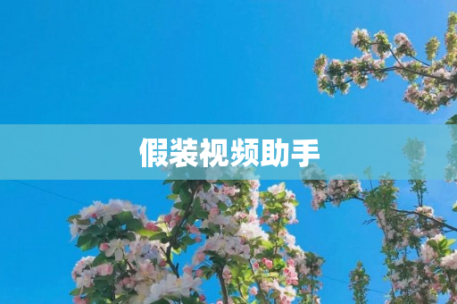 假装视频助手