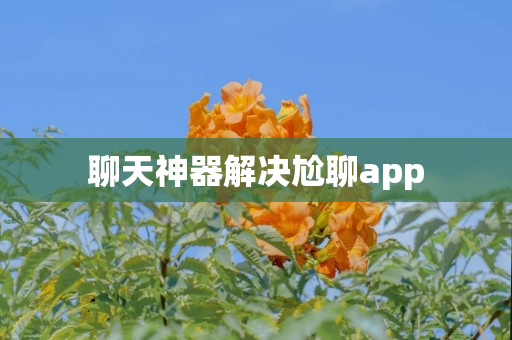 聊天神器解决尬聊app
