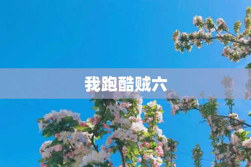 我跑酷贼六