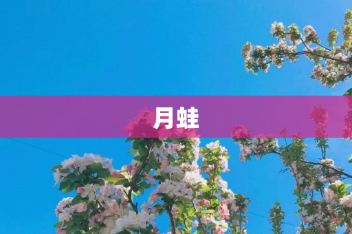 月蛙
