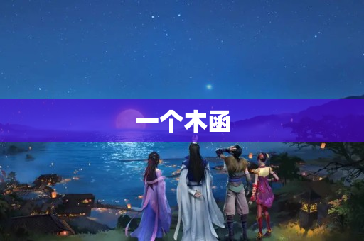 一个木函