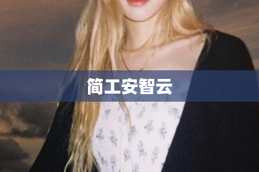 简工安智云