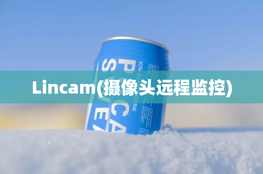 Lincam(摄像头远程监控)