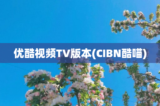 优酷视频TV版本(CIBN酷喵)