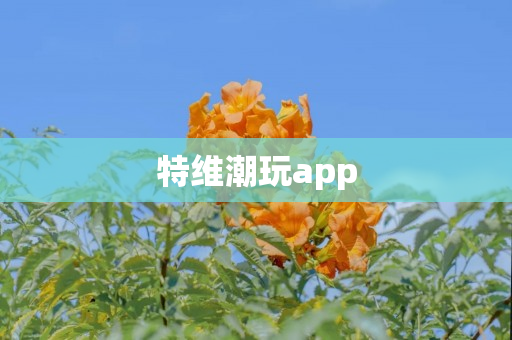 特维潮玩app