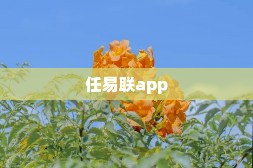 任易联app