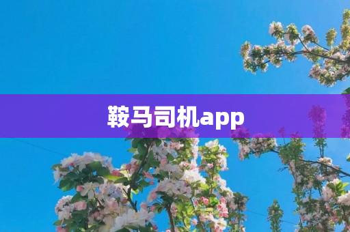 鞍马司机app