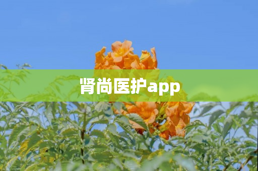 肾尚医护app