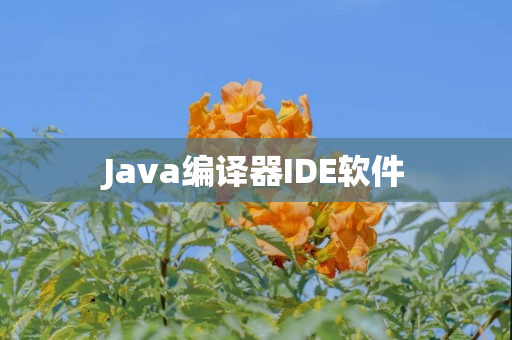 Java编译器IDE软件