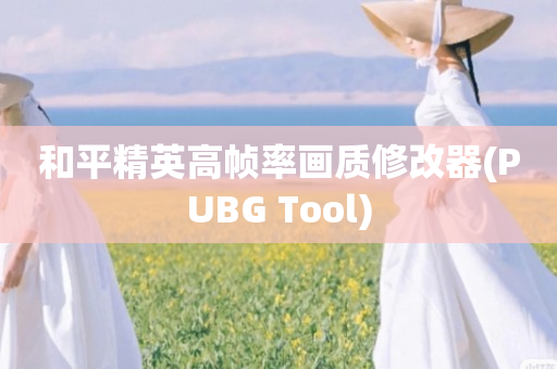 和平精英高帧率画质修改器(PUBG Tool)