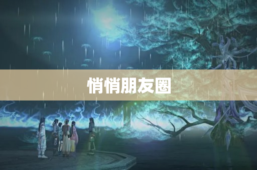 悄悄朋友圈