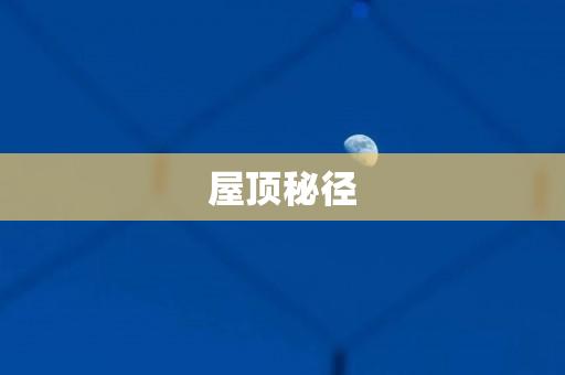 屋顶秘径