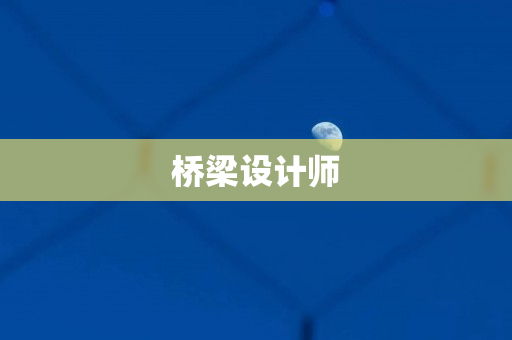 桥梁设计师