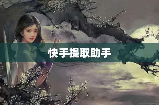 快手提取助手