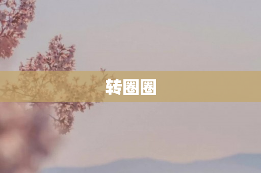 转圈圈
