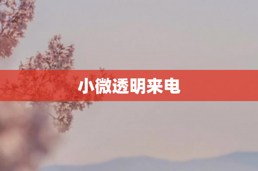小微透明来电