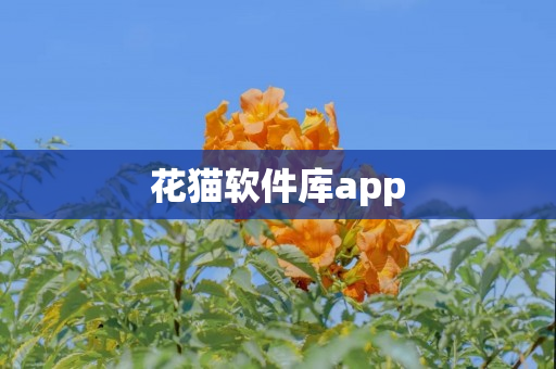 花猫软件库app