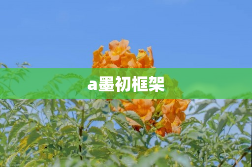 a墨初框架