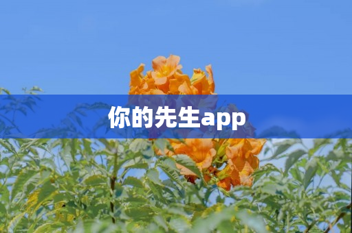 你的先生app