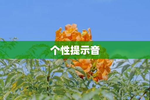 个性提示音