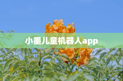 小墨儿童机器人app