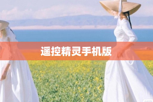 遥控精灵手机版