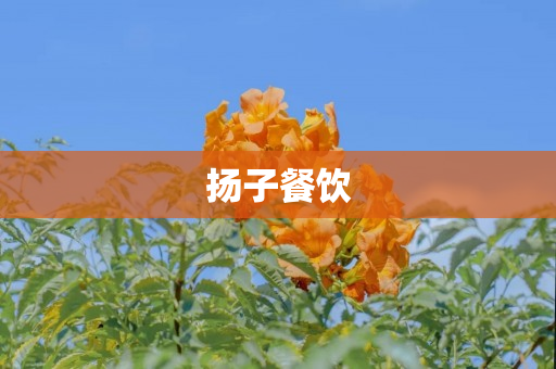 扬子餐饮