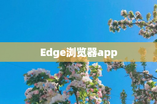 Edge浏览器app