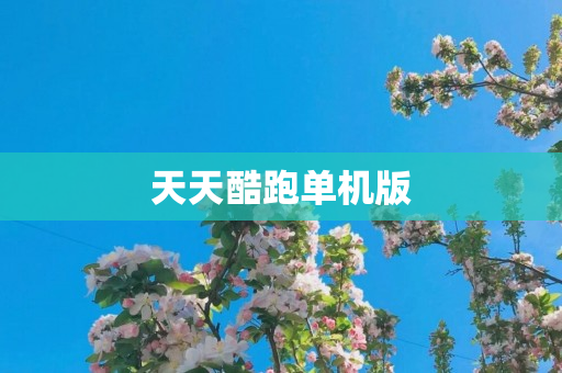 天天酷跑单机版